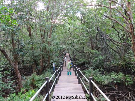 SLRC boardwalk