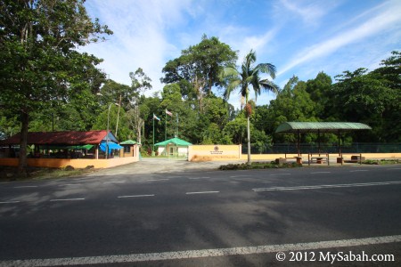 Madai Baturong Forest Reserve Nature Center Kunak at roadside