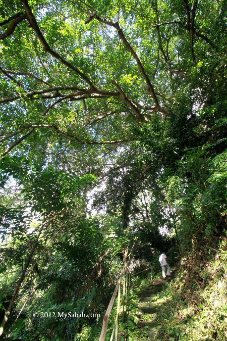 oldest track of Kota Kinabalu