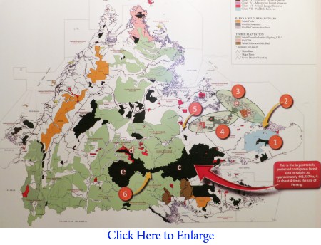 map of Sabah forest