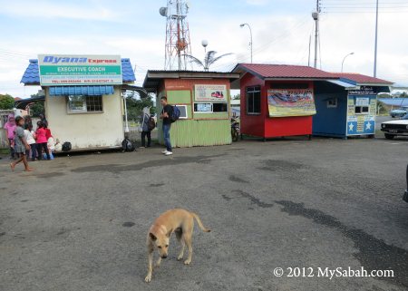 bus terminal in Kunak