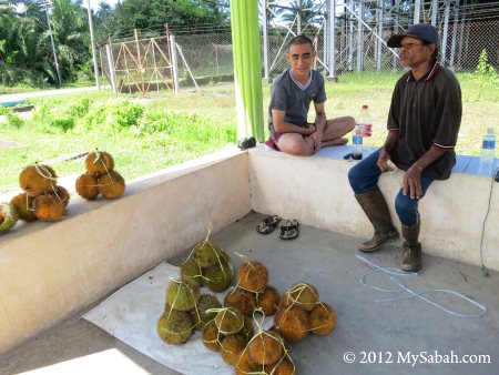 red durian for sale