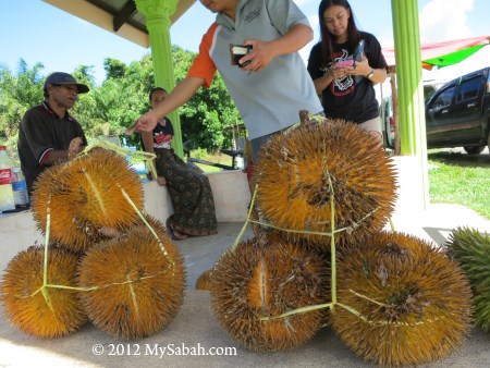 red durian