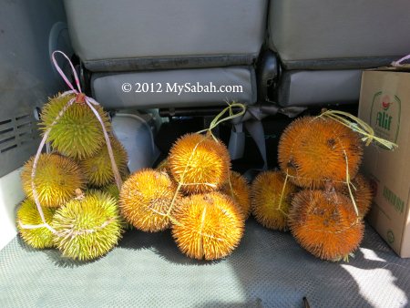 durians in car