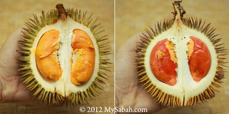 red and orange durian