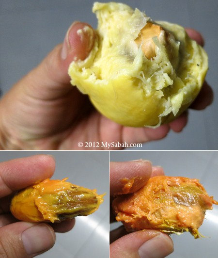 durian flesh in 3 color