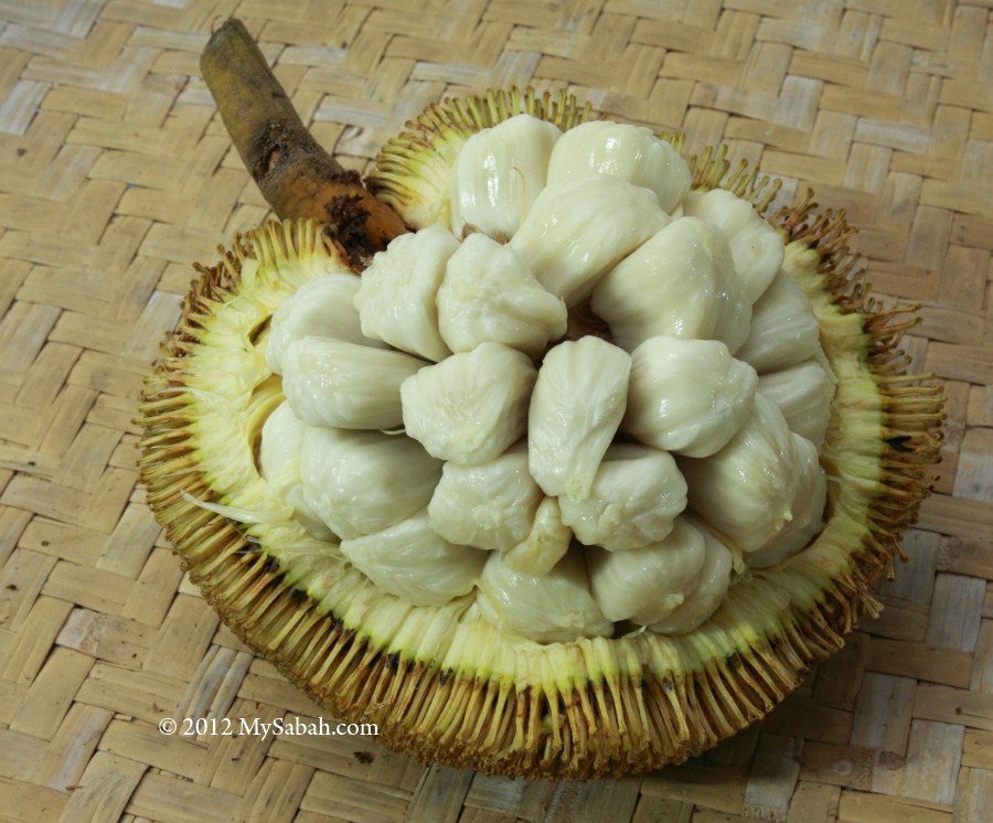 Buah Khas Kalimantan  Selatan  Banjarmasin Culture