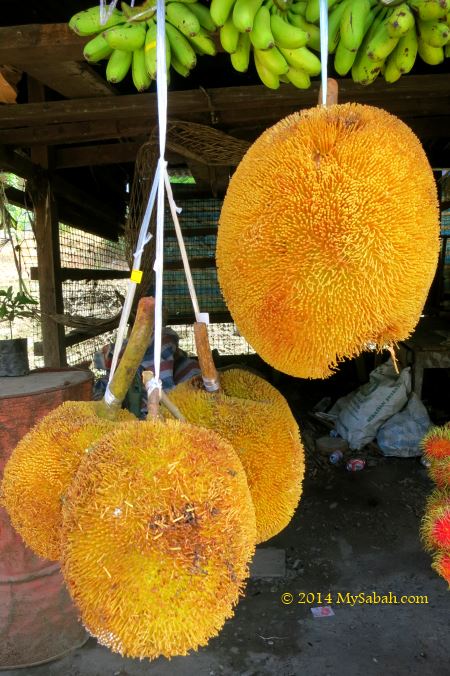 tarap fruits for sale