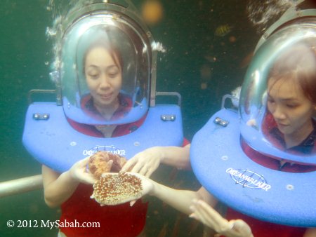 sea walking 5 Meters underwater