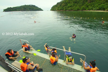 snorkeling at reef pontoon