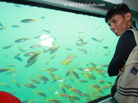 underwater observatory of Borneo Reef World