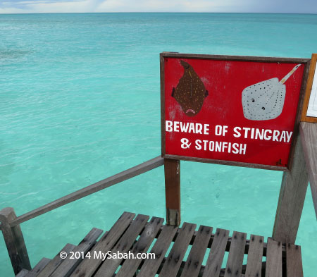 warning sign for stonefish and stingray