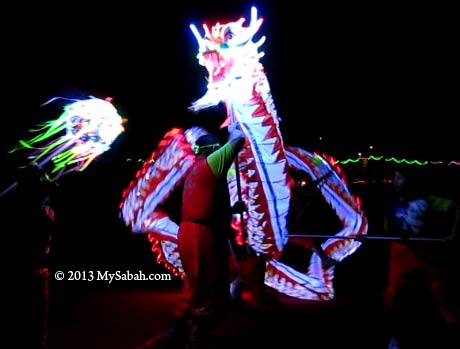 LED dragon dance