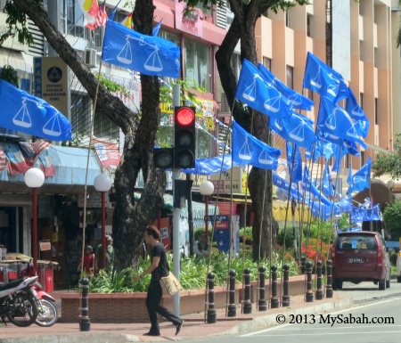 Barisan Nasional flags