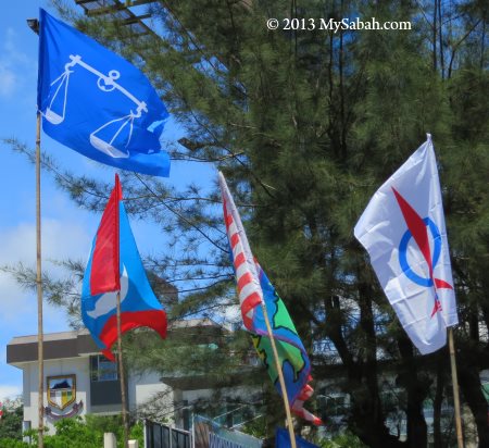 different party flags