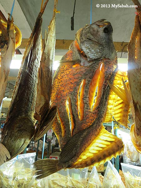 hanging salty fishes (ikan masin)