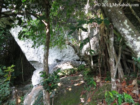 limestone boulder