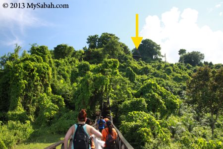 walking to the top of Bukit Tengkorak