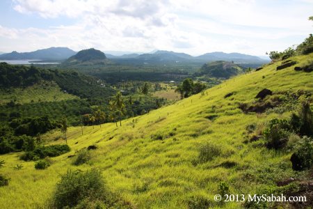 Skull Hill (Bukit Tengkorak) in green