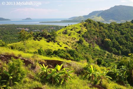 ancient volcanic rim on Bukit Tengkorak