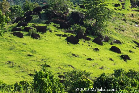 volcanic rocks on Bukit Tengkorak