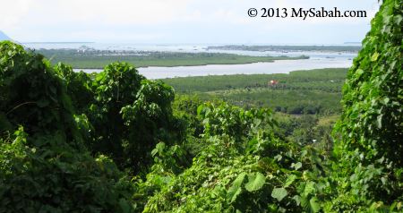 view of Semporna from Skull Hill (Bukit Tengkorak)