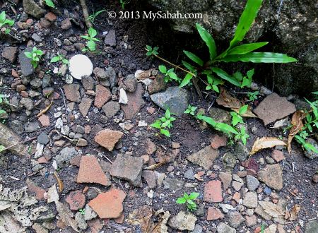 pottery sherds along the way