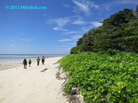 beach of Sipadan Island