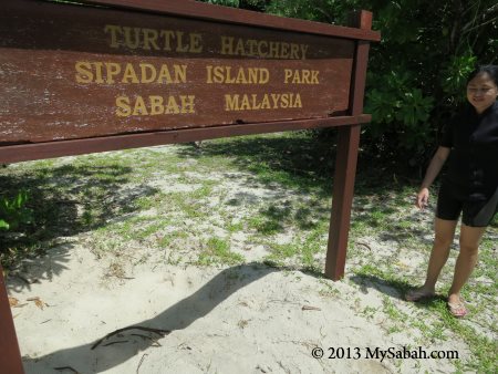 signage of Sipadan Turtle Hatchery