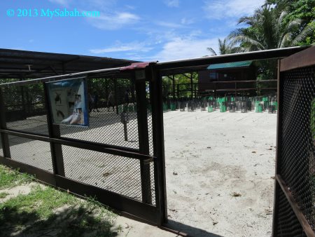 Turtle Hatchery