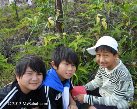children with pitcher plant