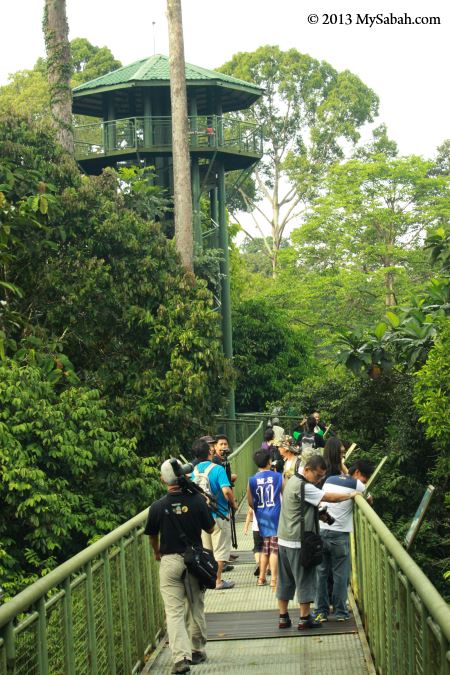 Rainforest Discovery Center RDC tower