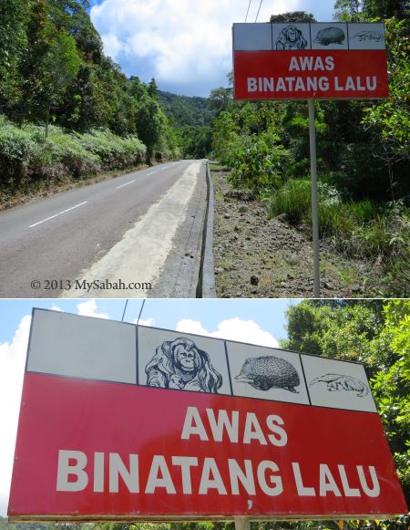 paved road to Tower of Heaven (Menara Kayangan)