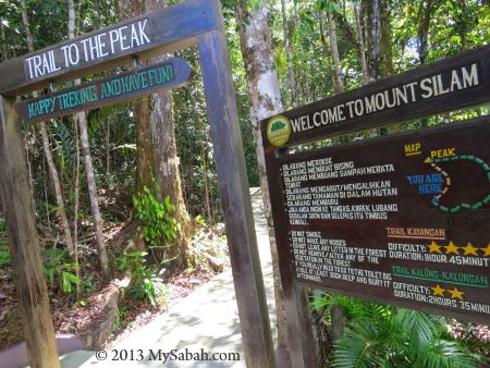 trail to the peak