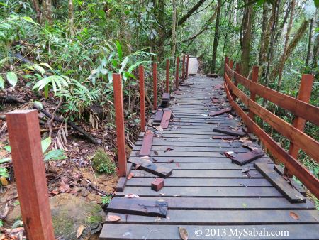 boardwalk under construction