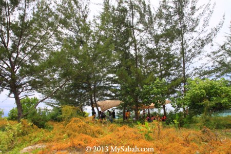 picnic on the island