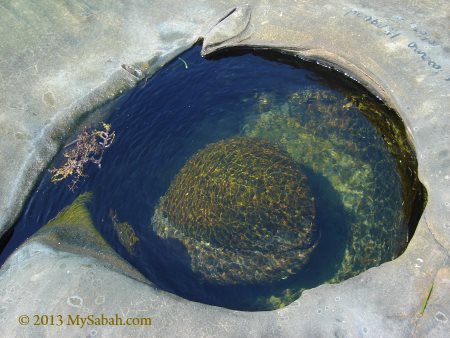 rock at Tip of Borneo