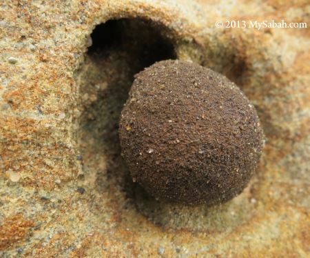 ball rock formed by wind erosion