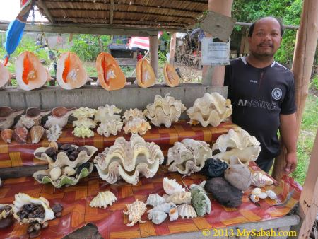 seashell stall