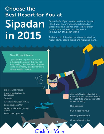 Infographics: Best Resort for your Sipadan Stay