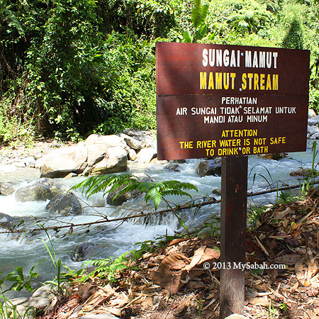 polluted Mamut River