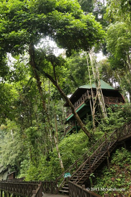 Hill Lodge of Tabin Wildlife Resort