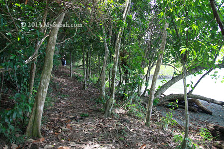 jungle trekking in Tumunong Hallu