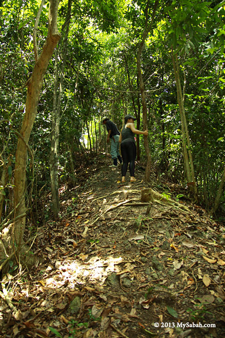 climbing to Ara Viewpoint