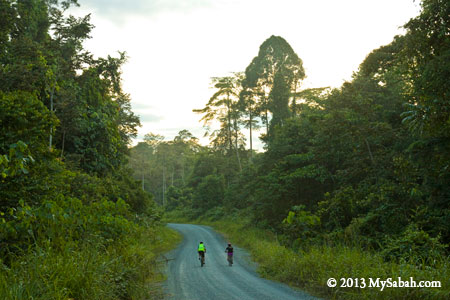 cycling around Taliwas forest