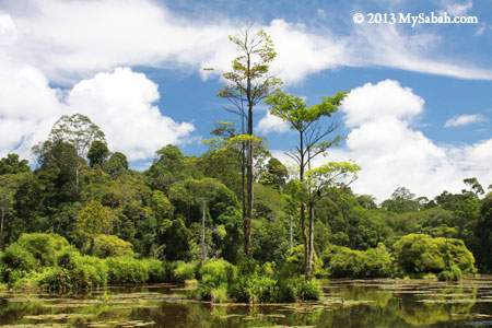 Tasik Pandan of Taliwas