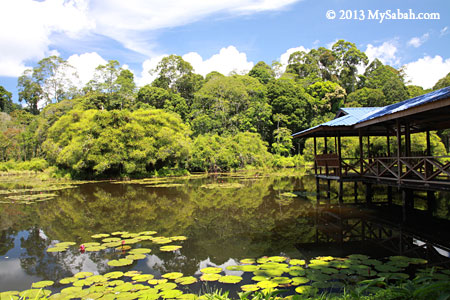 Tasik Pandan di Taliwas