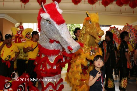 taking photo with horse lion