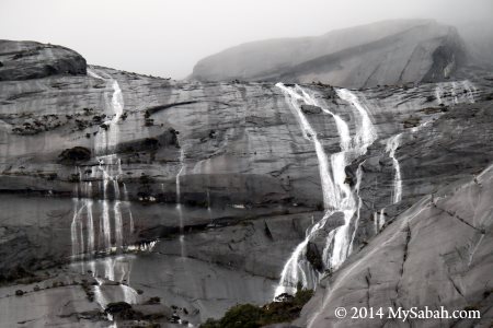 rainy day on Mt. Kinabalu