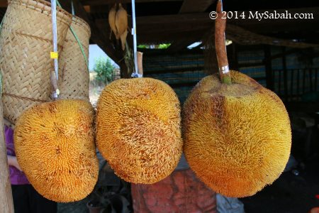 tarap fruit